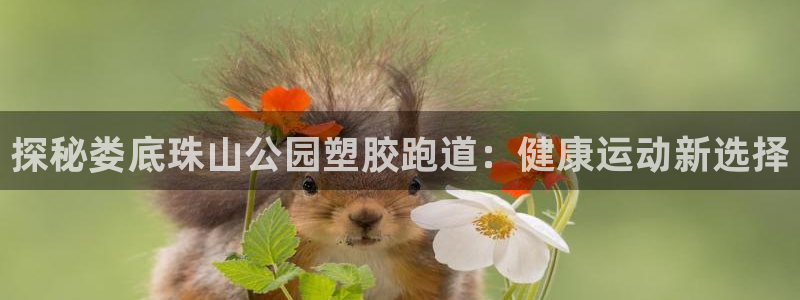 百度红足一1世