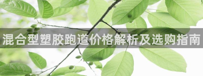 红足1世手机板
