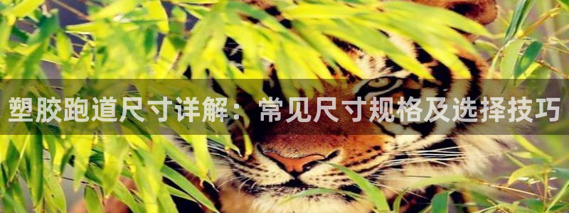红足一1世平台
