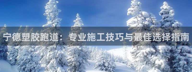 红足一1世666814足球比分网