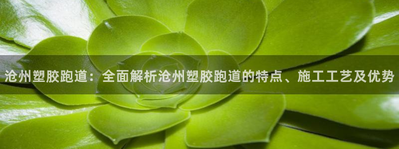 红足一1世666814足球比分网