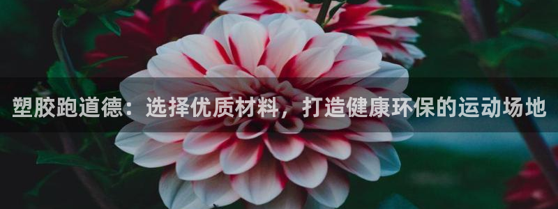 红足一1世666814足球