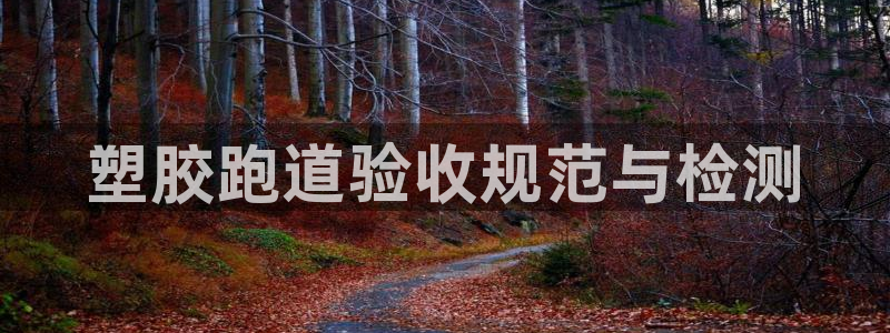 红足一1世即时比分