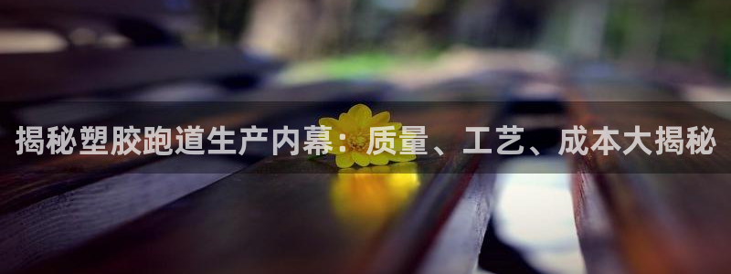 红世一足球比分