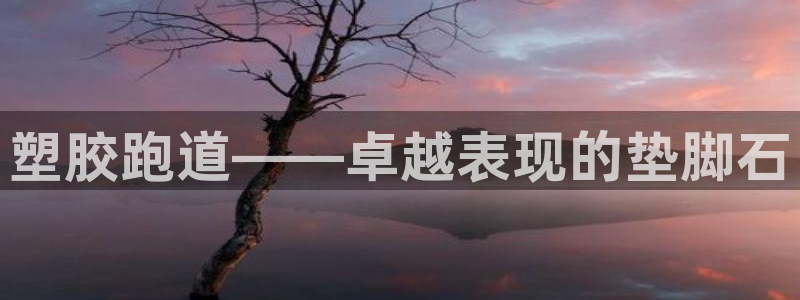 红世一足球比分