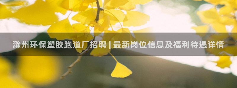 红足一1世皇冠登录