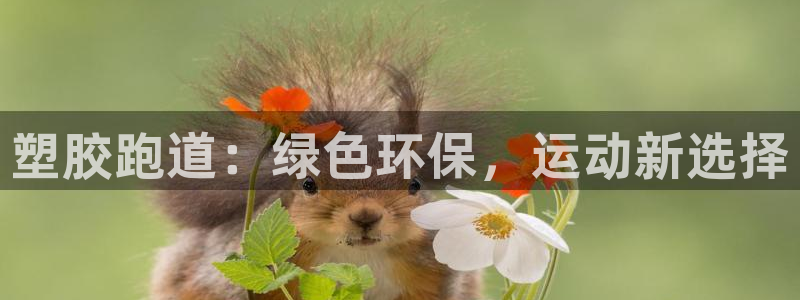 红足一1世皇冠