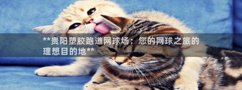 红足一1世开奖记录