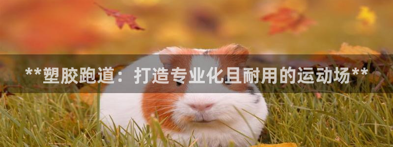 777814红·足一世比分篮球