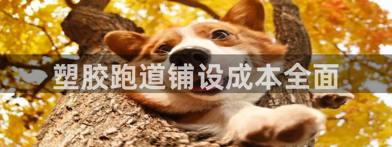 红足1世手机下载