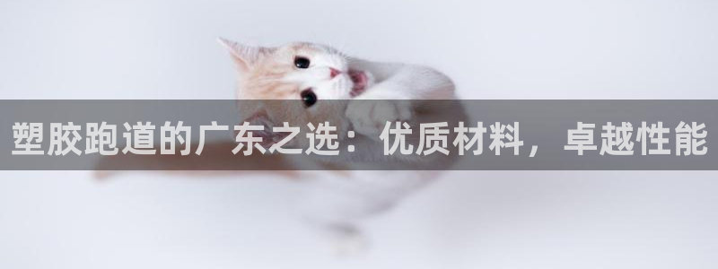 77814红足1世