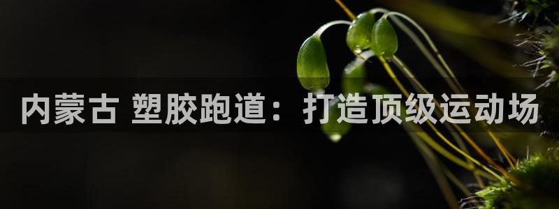 红足足球网