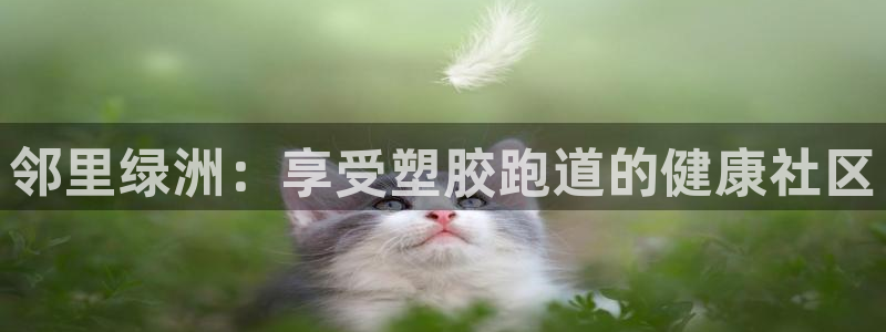 红足一一世