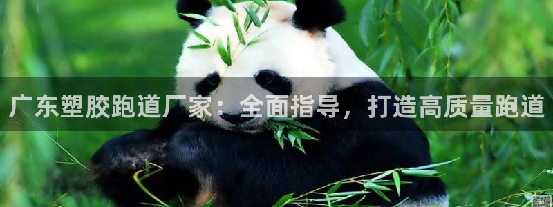 66814红足一66814世