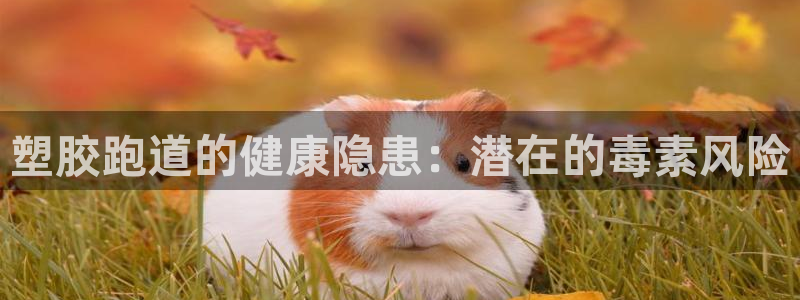 红姐现场直播开奖记录