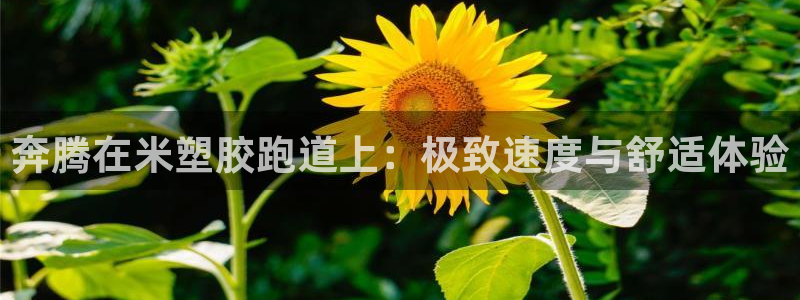 红足体育网
