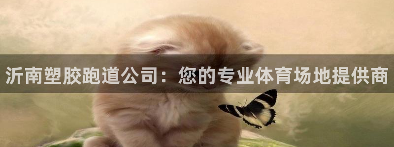 333814红足1世