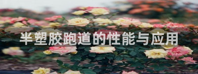 红足一1世皇冠登录