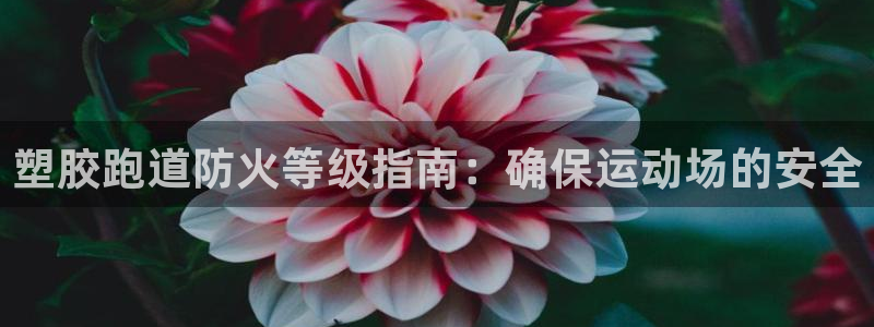 77814红足1世