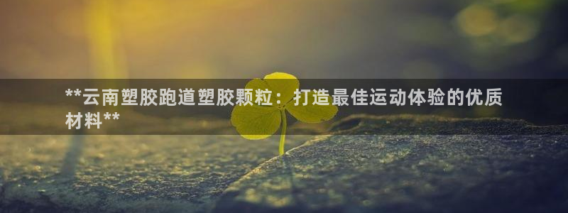 红足一1世66814：**云南塑胶跑道塑胶颗粒：打造最佳运动体验的优质
材料**