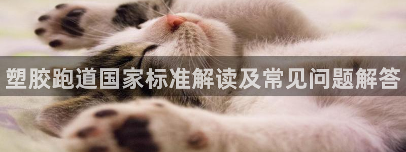 红足1世手机下载：塑胶跑道国家标准解读及常见问题解答